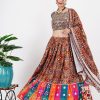 Women IndiFeels Lehenga | Multi Colour Mirror Work Chaniya Choli